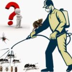 كلينكو الرياض لخدمات مكافحة الحشرات ورش المبيدات بالرياض
